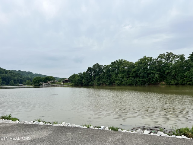 water view with a heavily wooded area