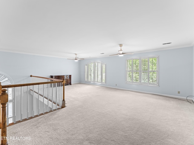 838 Ethans Glen Dr, Knoxville, TN 37923 - photo 22