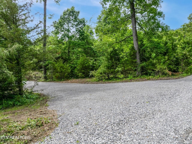 1502 Brahman Ln, Seymour, TN 37865
