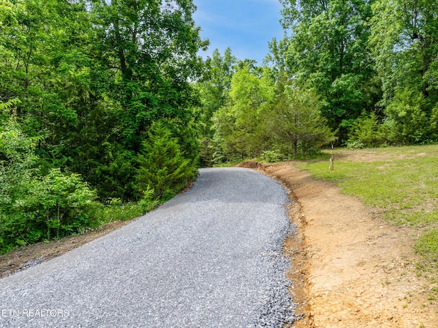 1502 Brahman Ln, Seymour, TN 37865