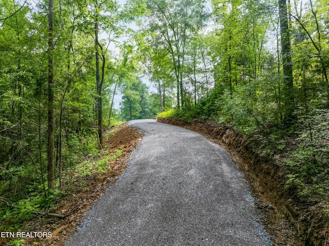 1502 Brahman Ln, Seymour, TN 37865