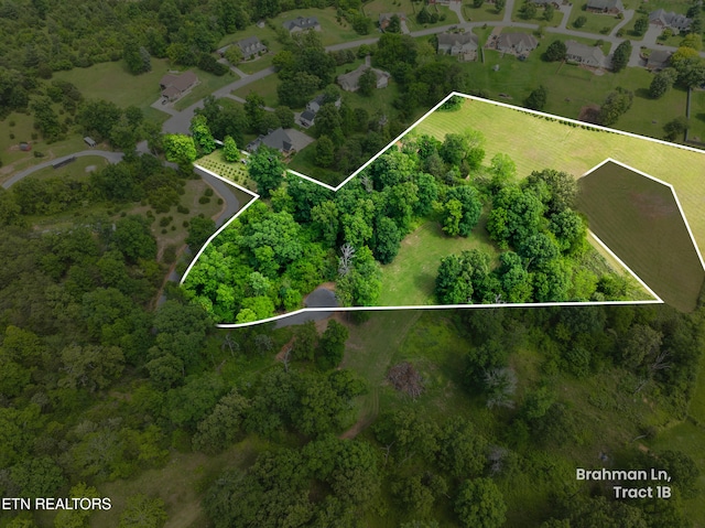 1502 Brahman Ln, Seymour, TN 37865