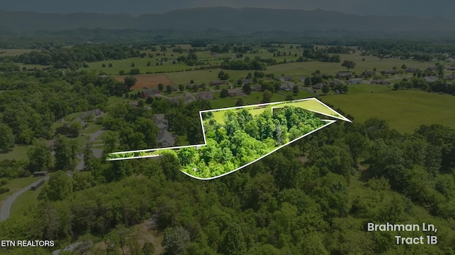 1502 Brahman Ln, Seymour, TN 37865