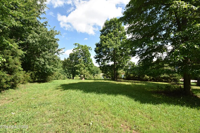 355 Conkinnon Dr, Lenoir City, TN 37772 - photo 11