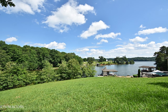 355 Conkinnon Dr, Lenoir City, TN 37772 - photo 15