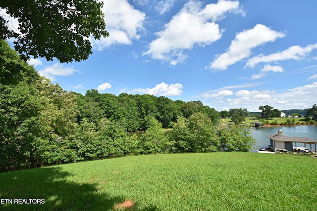 355 Conkinnon Dr, Lenoir City, TN 37772 - photo 1