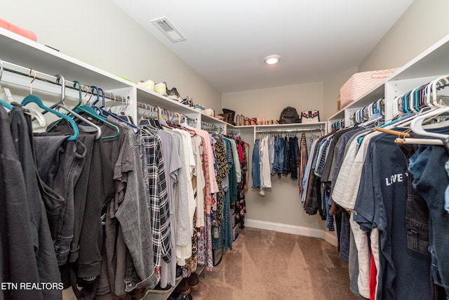 3132 Bakertown Station Way, Knoxville, TN 37931 - walk in closet featuring carpet floors