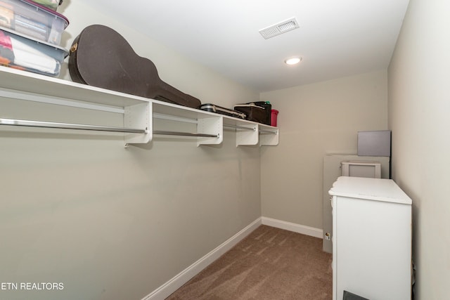 3132 Bakertown Station Way, Knoxville, TN 37931 - walk in closet with carpet flooring