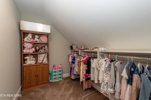 3132 Bakertown Station Way, Knoxville, TN 37931 - walk in closet featuring lofted ceiling and carpet floors