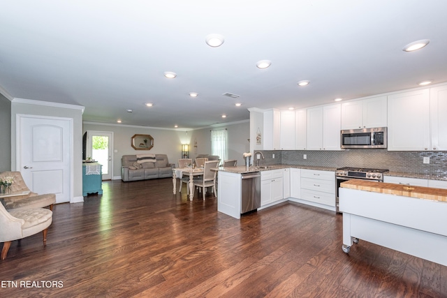 3132 Bakertown Station Way, Knoxville, TN 37931 - kitchen featuring stainless steel appliances, ornamental molding, open floor plan, a peninsula, and white cabinets