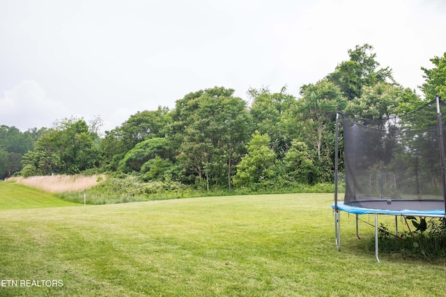 158 Dudley Cir, Tazewell, TN 37879 - view of grassy yard featuring a trampoline