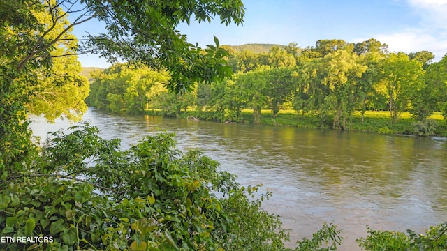 310 Savannah Shores Dr, Delano, TN 37325 - water view with a heavily wooded area