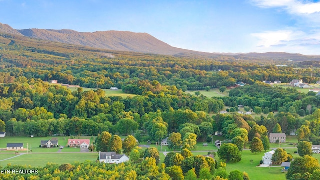 310 Savannah Shores Dr, Delano, TN 37325 - aerial view of a mountainous background