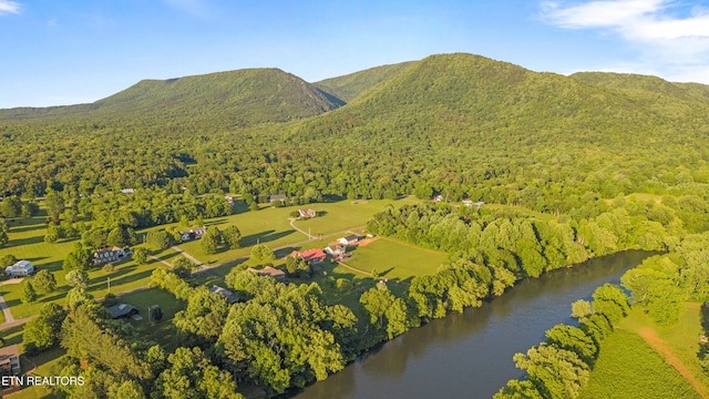 310 Savannah Shores Dr, Delano, TN 37325 - drone / aerial view of a water and mountain view and a forest