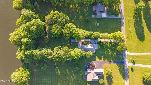 310 Savannah Shores Dr, Delano, TN 37325 - aerial view