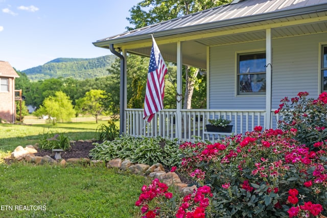 310 Savannah Shores Dr, Delano, TN 37325 - view of green lawn with a porch and a mountain view