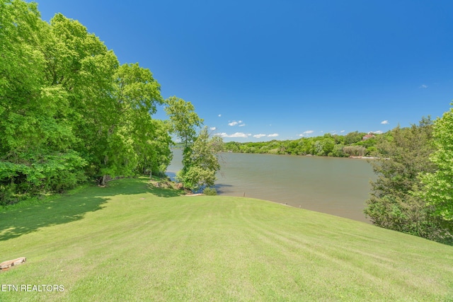 805 Butler Dr, Loudon, TN 37774 - photo 35