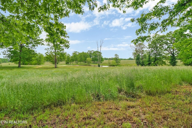 60 Greenview Ln, Crossville, TN 38571 - view of local wilderness