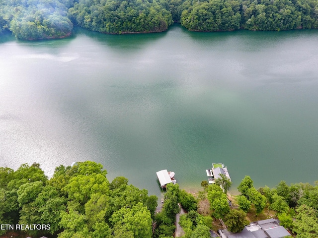 635 Norris Shores Dr, Sharps Chapel, TN 37866 - bird's eye view of a nearby body of water and a heavily wooded area