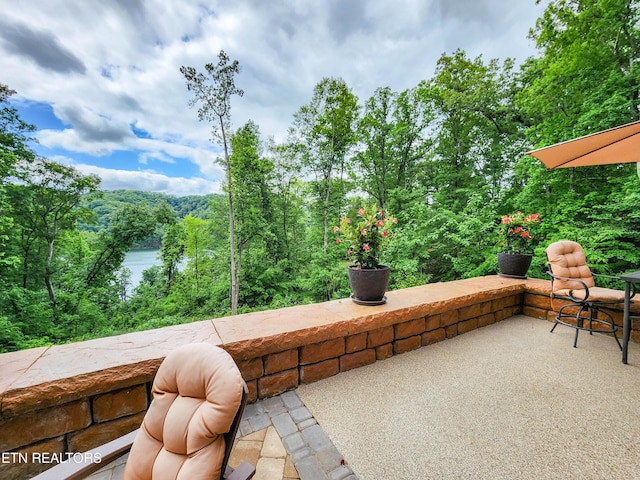 635 Norris Shores Dr, Sharps Chapel, TN 37866 - view of patio with a wooded view and a water view