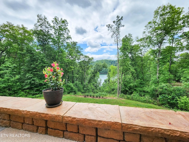 635 Norris Shores Dr, Sharps Chapel, TN 37866 - view of patio