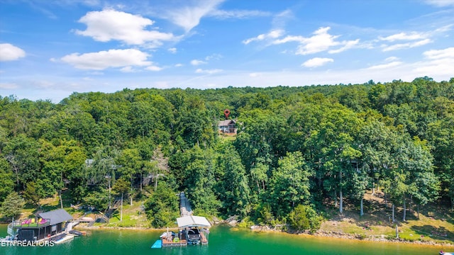 635 Norris Shores Dr, Sharps Chapel, TN 37866 - drone / aerial view of a heavily wooded area and a nearby body of water