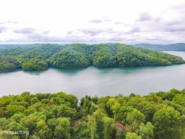 LOT47 Norris Shores Dr, Sharps Chapel, TN 37866