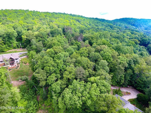 LOT47 Norris Shores Dr, Sharps Chapel, TN 37866