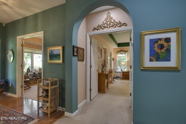 307 Okmulgee Cir, Loudon, TN 37774 - corridor featuring healthy amount of natural light, baseboards, and arched walkways