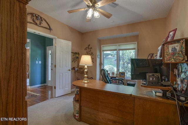 307 Okmulgee Cir, Loudon, TN 37774 - home office featuring a ceiling fan and carpet floors