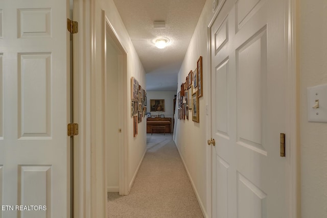 307 Okmulgee Cir, Loudon, TN 37774 - hall with a textured ceiling, light colored carpet, and baseboards