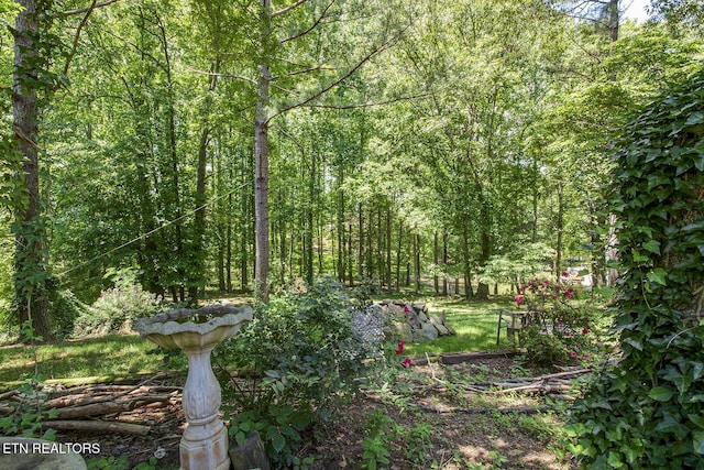 307 Okmulgee Cir, Loudon, TN 37774 - view of woods
