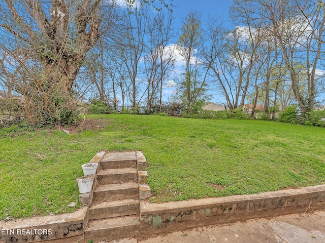 1245 Virginia Ave, Knoxville, TN 37921 - view of yard
