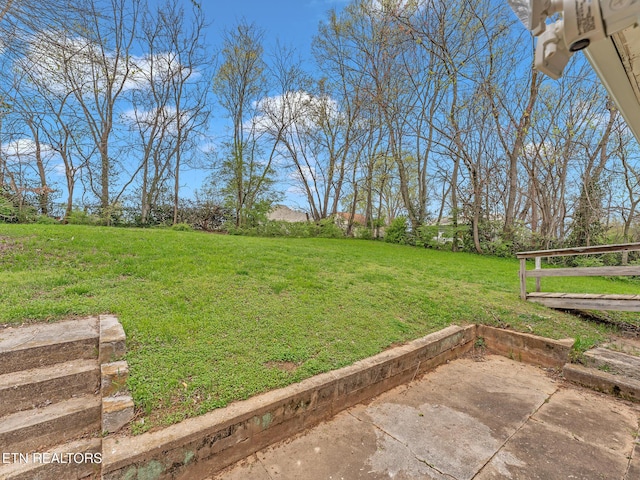 1245 Virginia Ave, Knoxville, TN 37921 - view of green lawn featuring a patio area