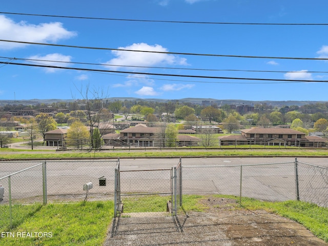 1245 Virginia Ave, Knoxville, TN 37921 - mountain view