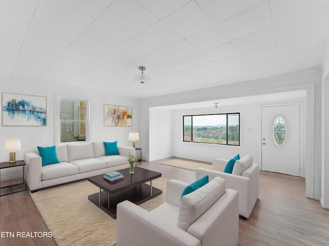 1245 Virginia Ave, Knoxville, TN 37921 - living area featuring light wood-style floors