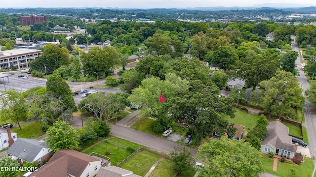 714 E Emerald Ave, Knoxville, TN 37917 - drone / aerial view