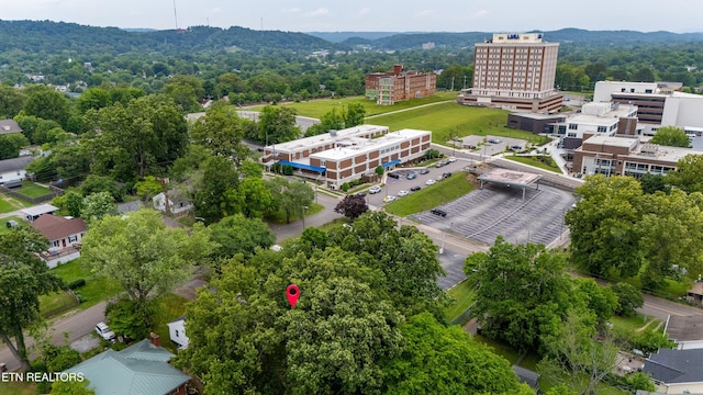 714 E Emerald Ave, Knoxville, TN 37917 - aerial view