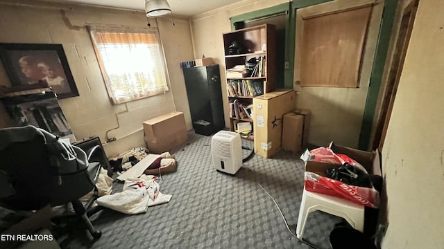 647 S Sudenny Ln, Lafollette, TN 37766 - miscellaneous room with carpet