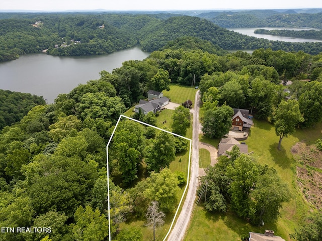 1ACRE Lafever Ridge Rd, Silver Point, TN 38582