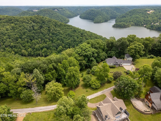 1ACRE Lafever Ridge Rd, Silver Point, TN 38582