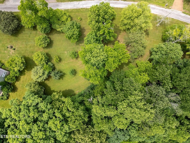 1ACRE Lafever Ridge Rd, Silver Point, TN 38582