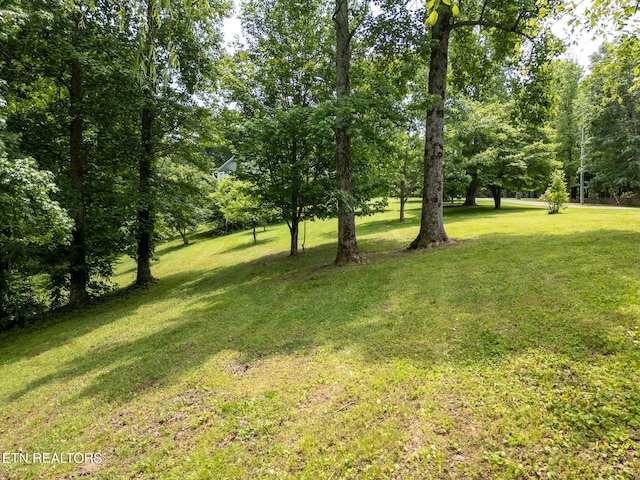 1ACRE Lafever Ridge Rd, Silver Point, TN 38582
