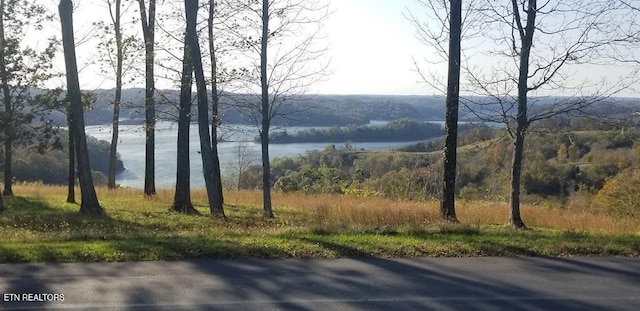 LOT7C Swan Ridge Rd, Hilham, TN 38568
