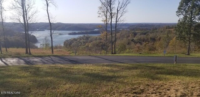 LOT7C Swan Ridge Rd, Hilham, TN 38568