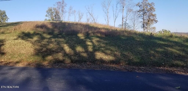LOT7C Swan Ridge Rd, Hilham, TN 38568