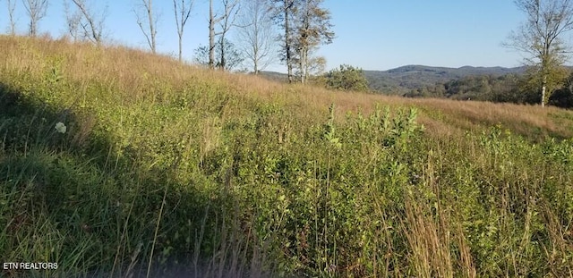 LOT7C Swan Ridge Rd, Hilham, TN 38568