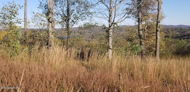 LOT7C Swan Ridge Rd, Hilham, TN 38568