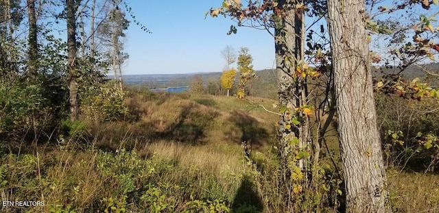 LOT7C Swan Ridge Rd, Hilham, TN 38568