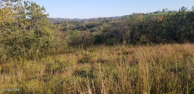 LOT7C Swan Ridge Rd, Hilham, TN 38568